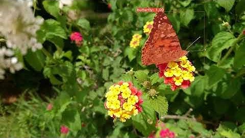 Yolact Real-Time Instance Segmentation