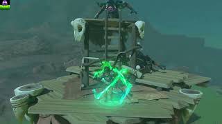 Zelda - TOTK - Battle Talus - South Akkala Plains West