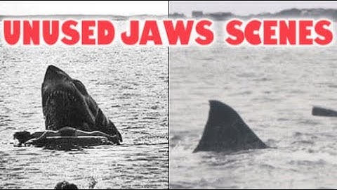 The Unused Scenes From Jaws.