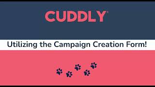 How to Use the Campaign Creation Form