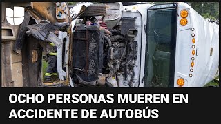 Imágenes del accidente de autobús de trabajadores agrícolas que dejó al menos 8 muertos en Florida by Univision Noticias 6,361 views 13 hours ago 46 seconds