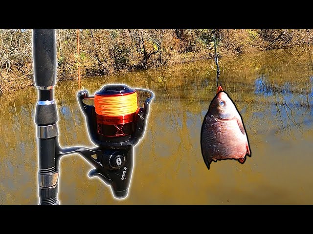 Gar Fishing In The Winter (BIG Fish!) 