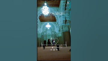 القرآن الكريم.قراءة هادئة #استغفرالله #لايك #اكسبلور #استغفار #راحة_نفسية #تيك_توك