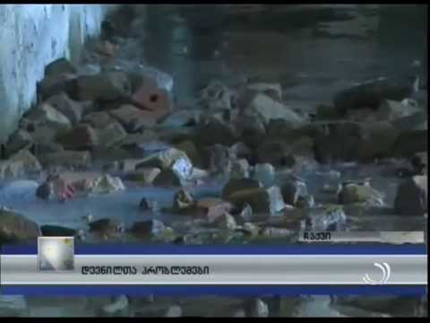 დევნილთა პრობლემები