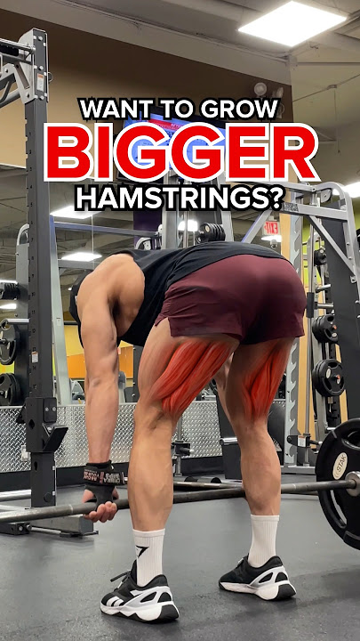 3 BEST Exercises for BIGGER Hamstrings