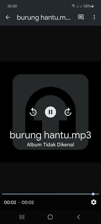 Nada dering pesan wa suara burung hantu