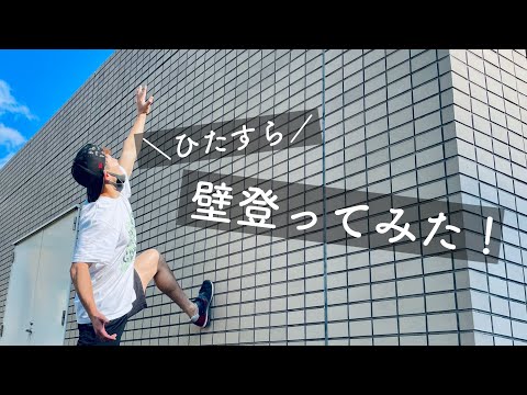 【パルクール】 まるで忍者？！街中のあらゆる壁にひたすら登ってみた #parkour#壁ジャンプ#ninja#running