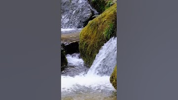 سورة البروج بصوت فضيلة الشيخ عبدالباسط عبدالصمد  .