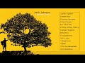 In between dreams  jack johnson full album  2005
