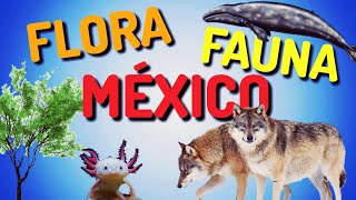 La FLORA y la FAUNA de MÉXICO