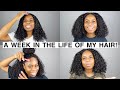 YOUTUBERS HAVE BAD HAIR DAYS TOO! | A WEEK in the Life of my HAIR! 😬