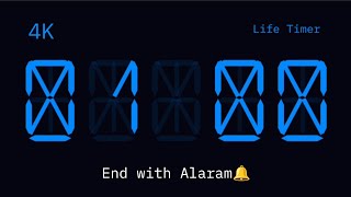 1 Minute Countdown Timer ⏱️ | Digital Timer with Alarm 🔔 | 60 Second Countdown | 4K