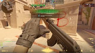 CS2 | Anubis Ace Amk