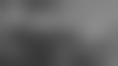 Видик про боазовованоть лысенко, иранконтрас и еще че то там(аукСион, рестрим)