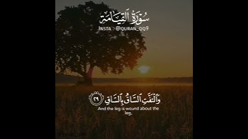ارح مسمعك- سوره القيامه 🍃🤍
