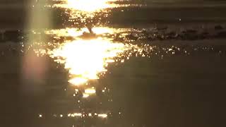 Aşkta Öte Yol Yok. Aşıkların Yolu Allaha Aşkla Yürüyen Bir