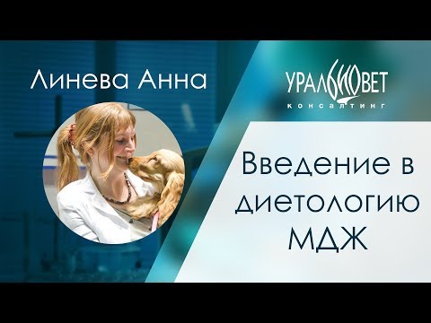 Видео: Один ветеринар о ценности страхования домашних животных