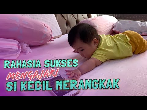 Cara Belajar Anak Usia 8 Bulan - Bisabo Channel
