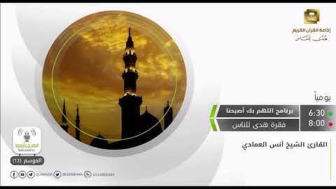 ما تيسر من سورة الأنعام ~ الشيخ أنس العمادي