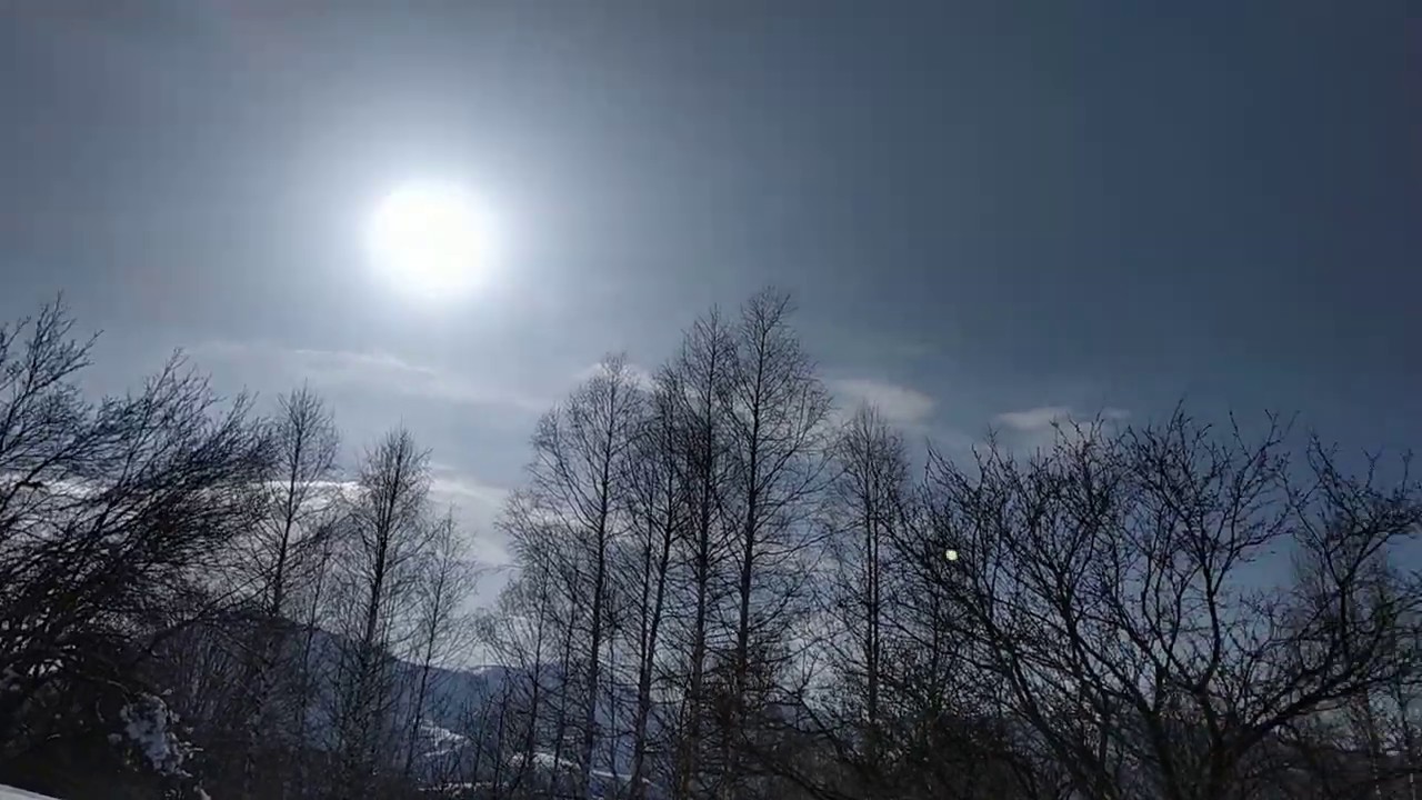 Sunny Day in Mountain and Forest, Virtual Winter Walk, April