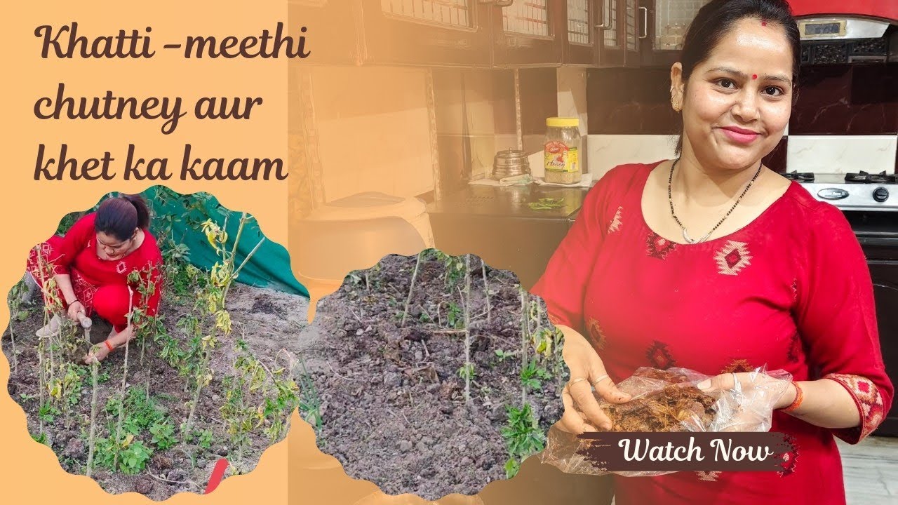 Vlog 112 || khatti -meethi chutney aur khet ka kaam|| 28 February 2026