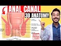 anal canal anatomy 3d | interior of anal canal anatomy | nerve and blood supply of anal canal