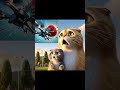 Kitten who blew a balloon #catcute #cutecat #cartoon #cat #cats #kitten #kittens