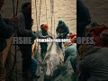 Whispers of the Tide: A Sea Otter Rescue