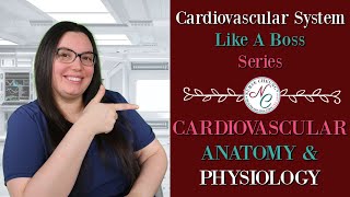 CARDIAC ANATOMY AND PHYSIOLOGY | CARDIOVASCULAR NCLEX AND NURSING EXAM LIKE A BOSS SERIES