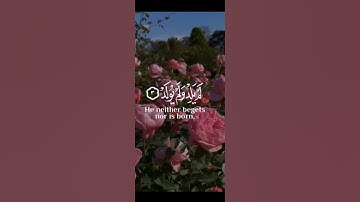 سورة الإخلاص ❤️ قال عنها رسول الله صلى الله عليه وسلم تعدل ثلث القرآن❤️