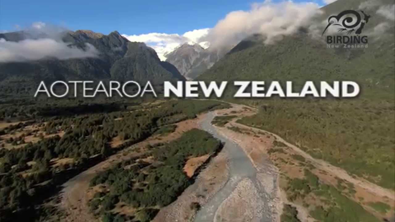 BIRDING NZ 2014