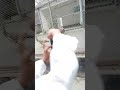 #nice #naceral video#naceral