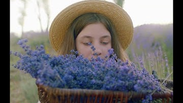 🌿 DẦU GỘI THẢO DƯỢC COME ON 3IN1 - Bảo vệ mái tóc từ thiên nhiên 🌿