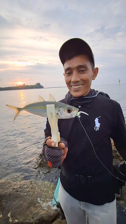 Ajing fishing menggunakan softlure shikawe 1,8inch #ajingfishing #ajinggame #lightgameajing #mancing