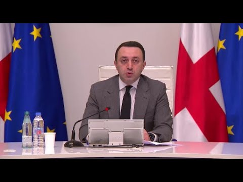 ირაკლი ღარიბაშვილის განცხადებები მთავრობის სხდომაზე