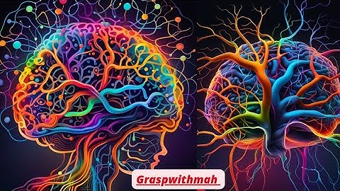 The Human Brain: Unraveling the Mysteries