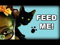 Halloween Black Cat | Meet Edgar 💙