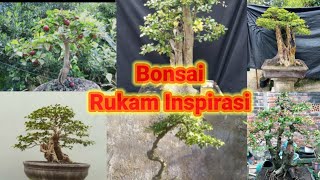 Bonsai Rukam Inspirasi