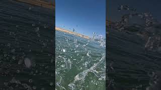 Wave 9 Surf Fail! 😵 #Shorts