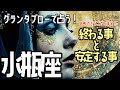 見た時がタイミング🧞‍♂️ 🌹🕊️＜グランタブロー＞💐おめでとうございます🎊終わる事と安定する事👏【水瓶座】🌟#グランタブロー