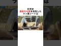 【温泉から金を採取したラン藻シート】 #豆知識 #社会 #雑学 #時事 #ゴールド #金 #投資 #温泉