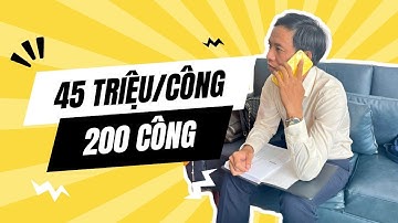 Bán đất ruộng ở Kiên Giang - Bán 200 công ruộng chỉ 45 triệu 1 công |  lê Văn Mép