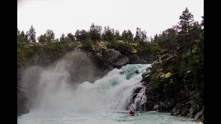 Reel World Vol.10 - Entry Dan Marks