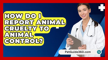 How Do I Report Animal Cruelty to Animal Control? - PetGuide360.com