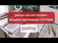 Разбор РААС || ренин-ангиотензин-альдостероновая система