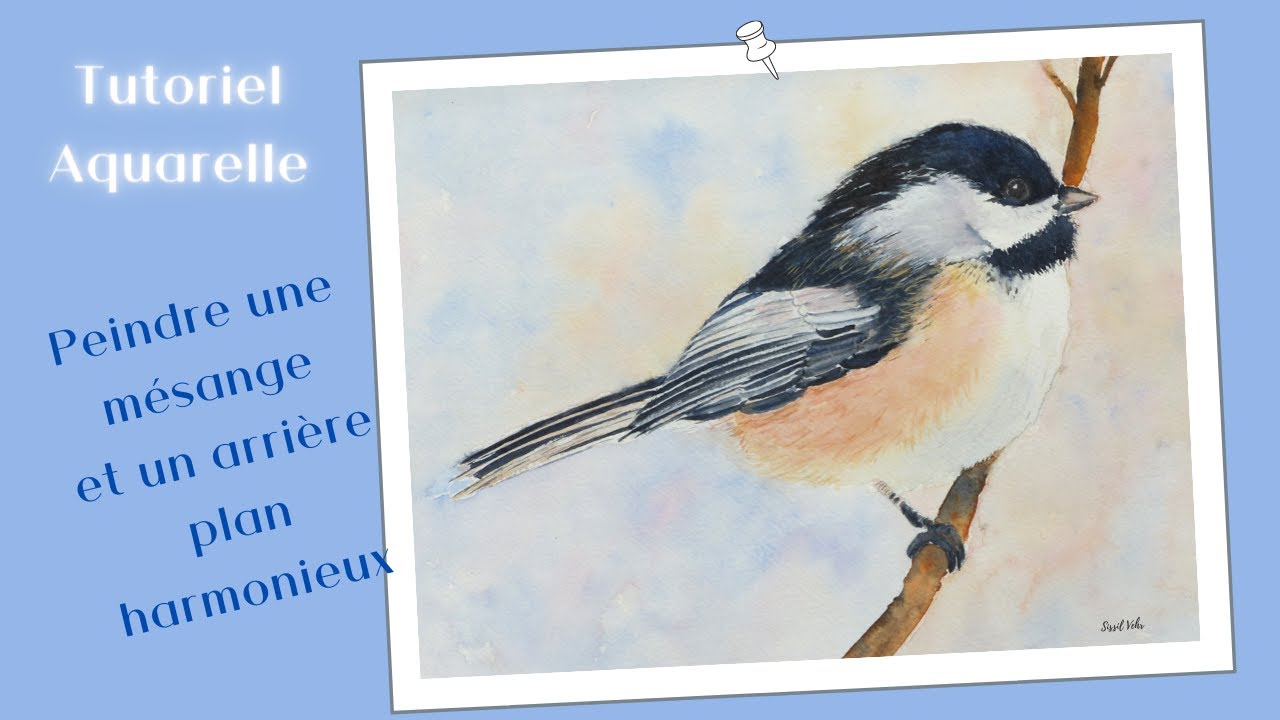 Aquarelle : Petite mésange