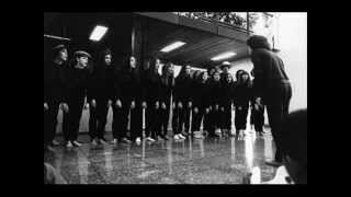 Cobra Coral - Cobras E Lagartos