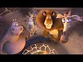 DreamWorks Madagascar em Português | Selvagem Doce Selvagem | Madagascar | Desenhos Animados