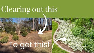 Spring 2026 GARDEN PLANS!!! / Clearing out the driveway bed for Spring Annuals!