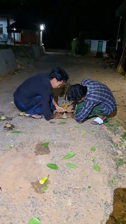 traditional way of catching birds #shortvideo